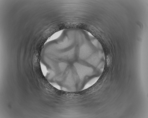 X0000110991059200907311005