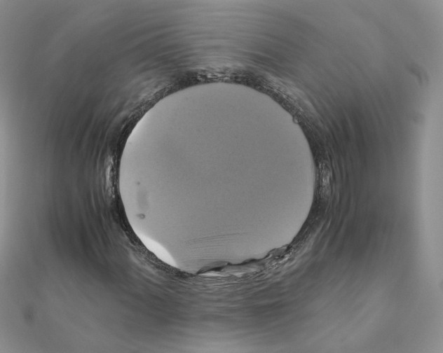 X0000110991060200907311005