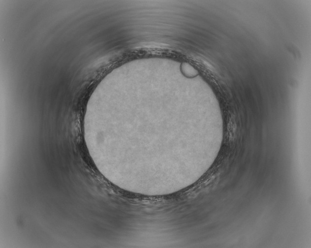 X0000110991062200907311005