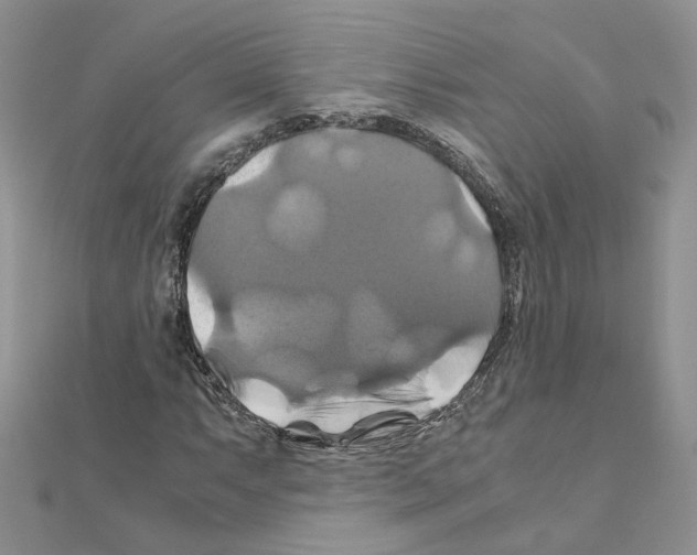 X0000110991063200907311005