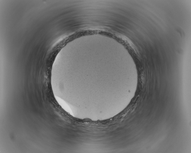X0000110991064200907311005
