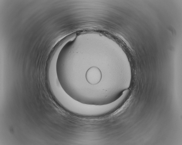 X0000110991065200907311005