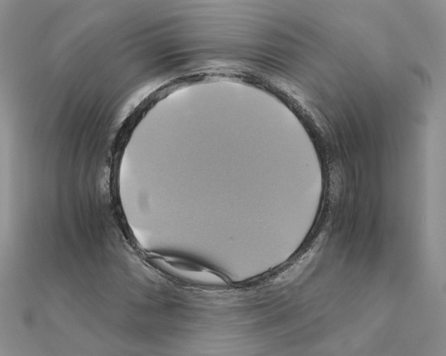 X0000110991066200907311005