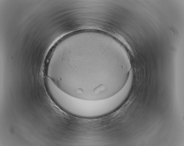 X0000110991068200907311005