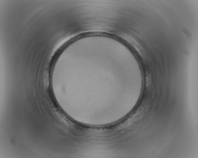 X0000110991069200907311005