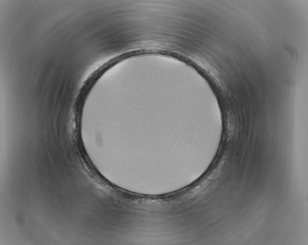 X0000110991070200907311005