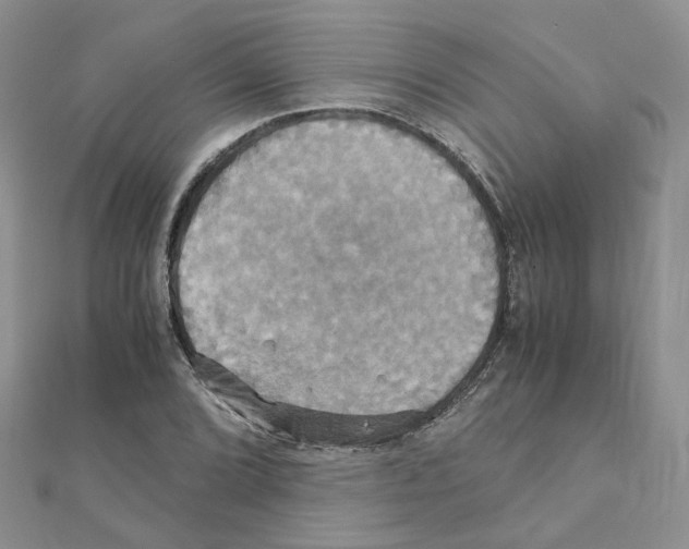 X0000110991072200907311005