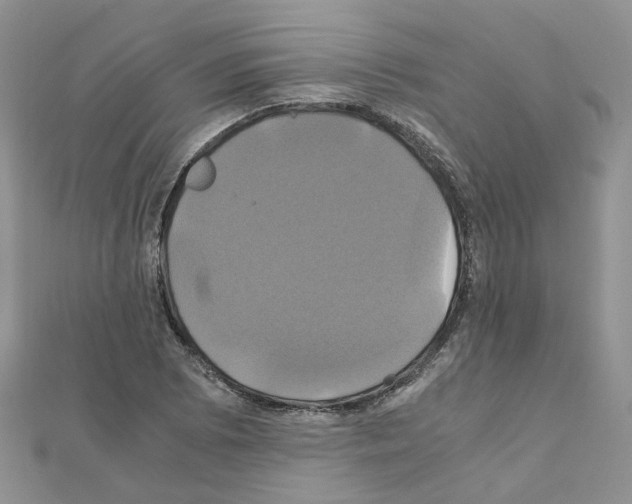 X0000110991073200907311005