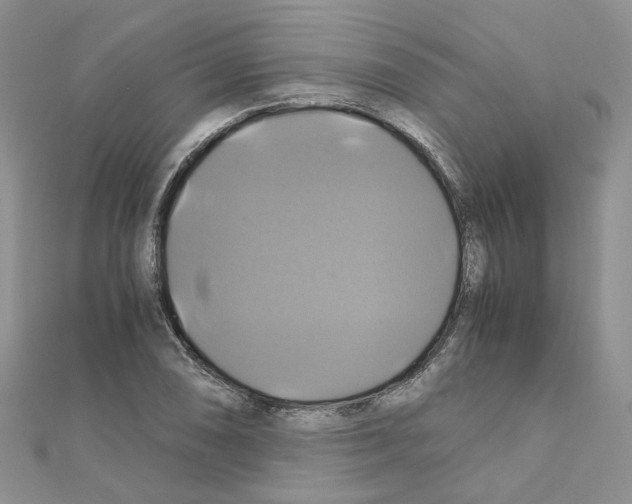 X0000110991074200907311005