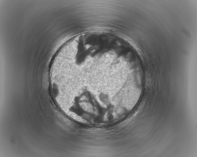 X0000110991075200907311005