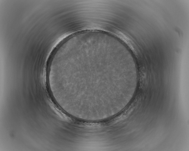 X0000110991076200907311005