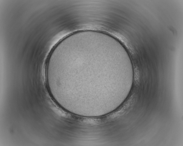 X0000110991078200907311005