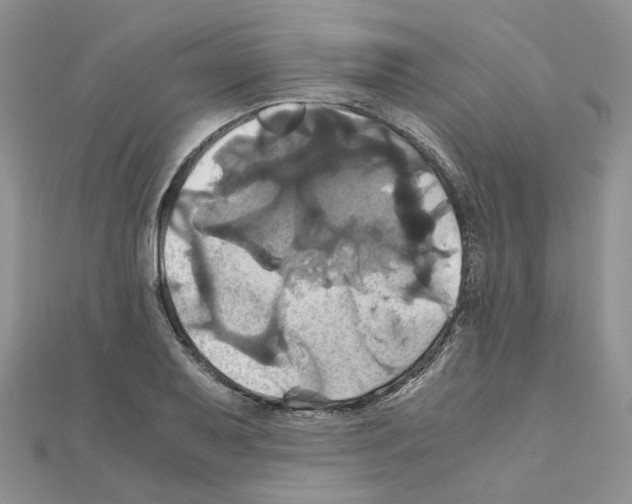 X0000110991079200907311005