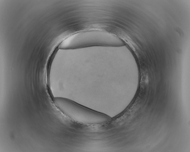 X0000110991080200907311005