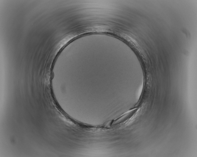 X0000110991081200907311005