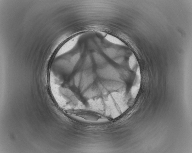 X0000110991083200907311005