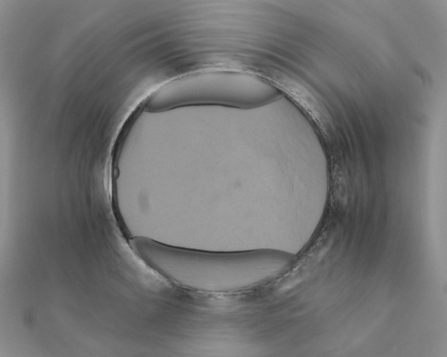 X0000110991084200907311005