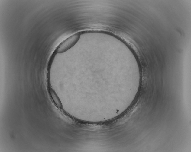 X0000110991085200907311005