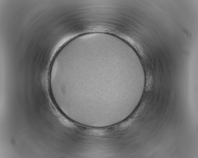 X0000110991086200907311005