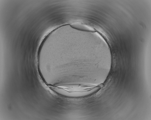 X0000110991088200907311005