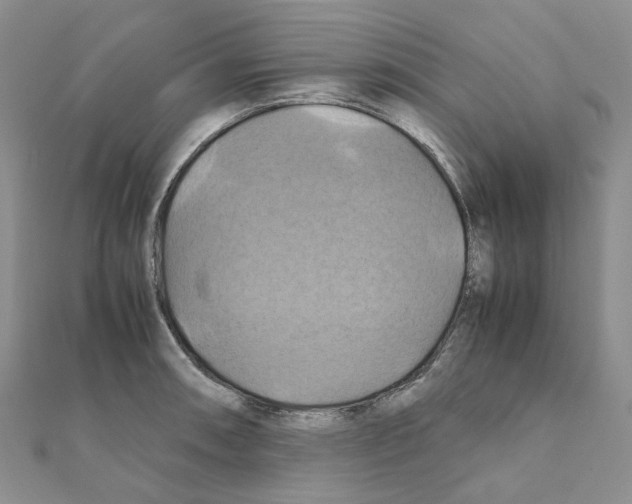 X0000110991090200907311005