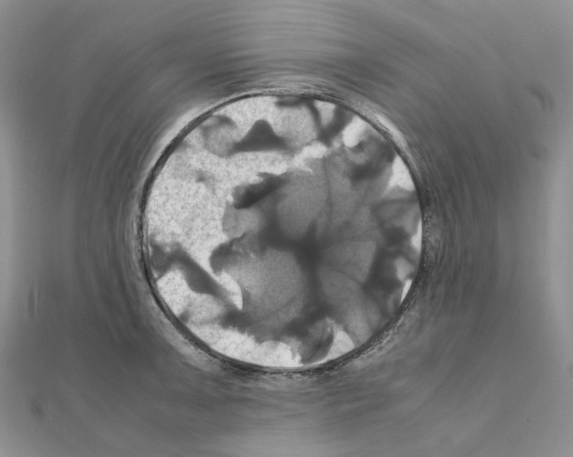 X0000110991091200907311005