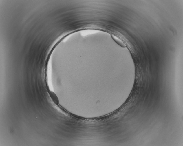 X0000110991092200907311005