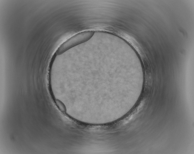 X0000110991093200907311005