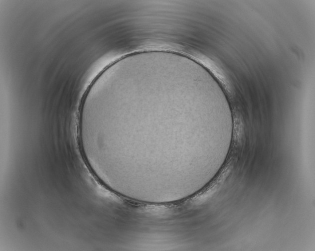 X0000110991094200907311005