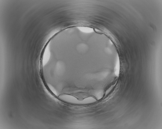 X0000110991095200907311005