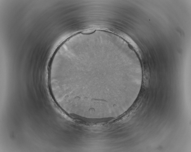 X0000110991096200907311005