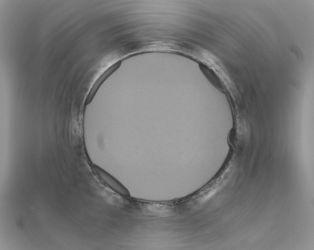X0000110991097200907311005