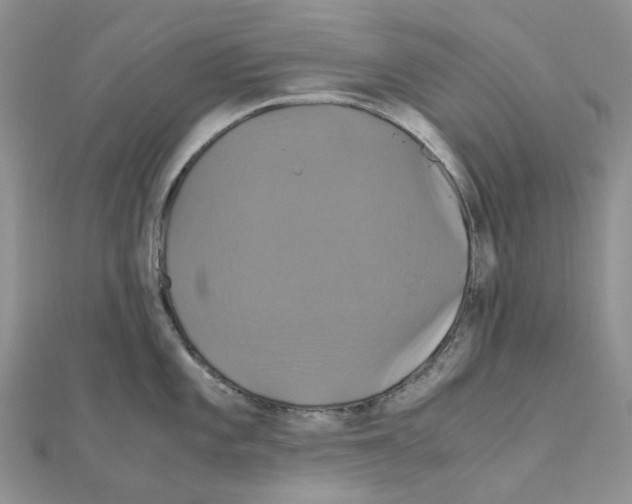 X0000110991101200907311005