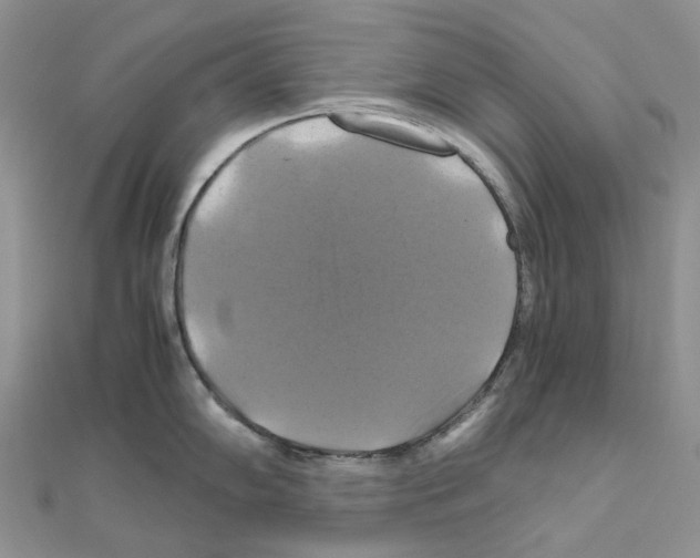 X0000110991102200907311005