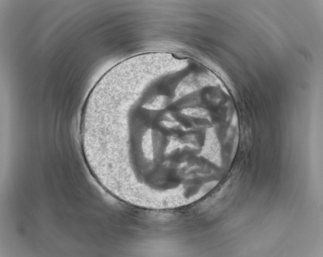 X0000110991103200907311005