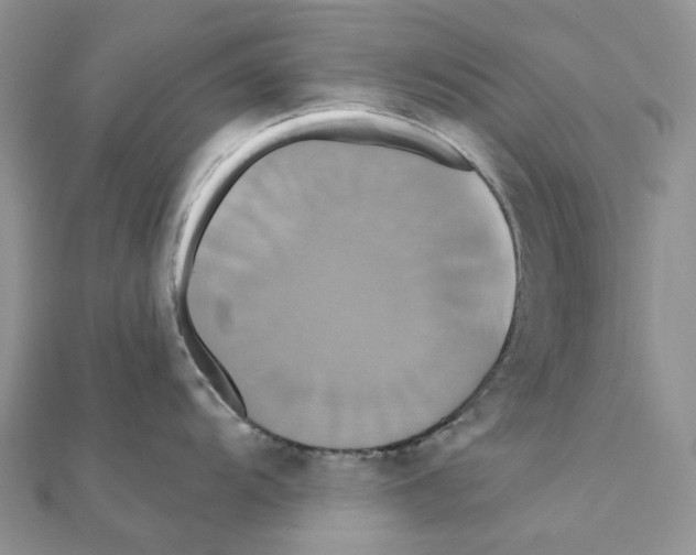 X0000110991104200907311004