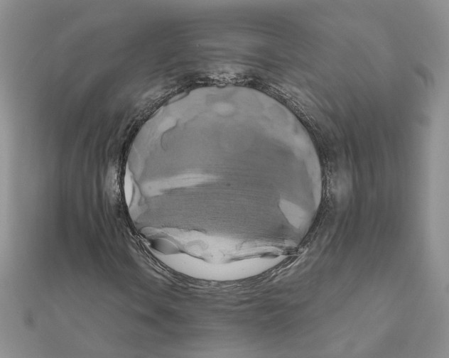 X0000110991106200907311004