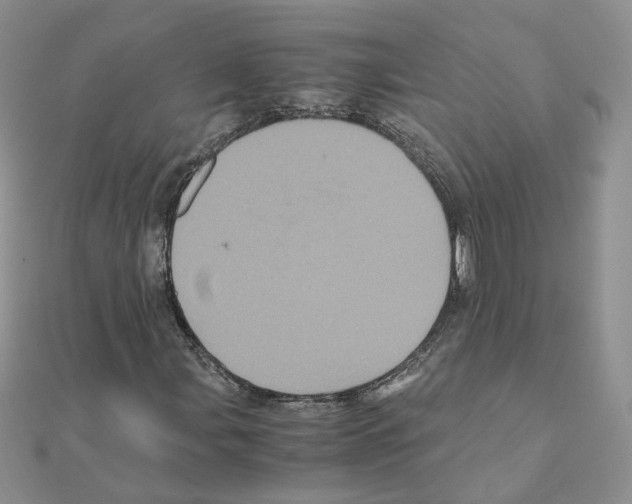 X0000110991107200907311004