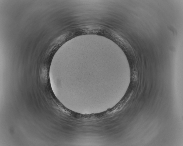 X0000110991108200907311004