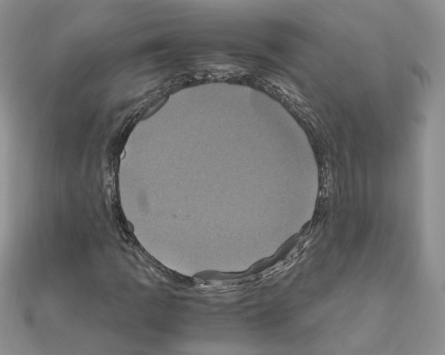 X0000110991109200907311004