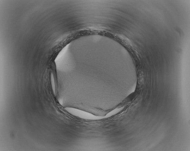 X0000110991110200907311004