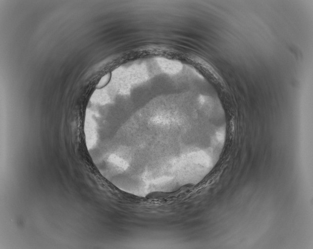 X0000110991111200907311004