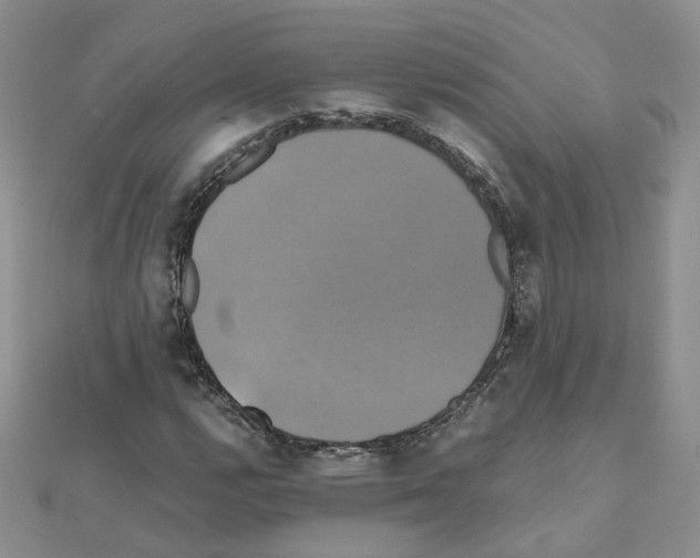 X0000110991112200907311004