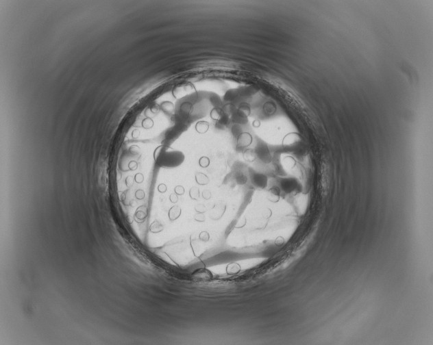X0000110991113200907311004