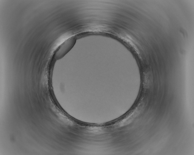 X0000110991114200907311004