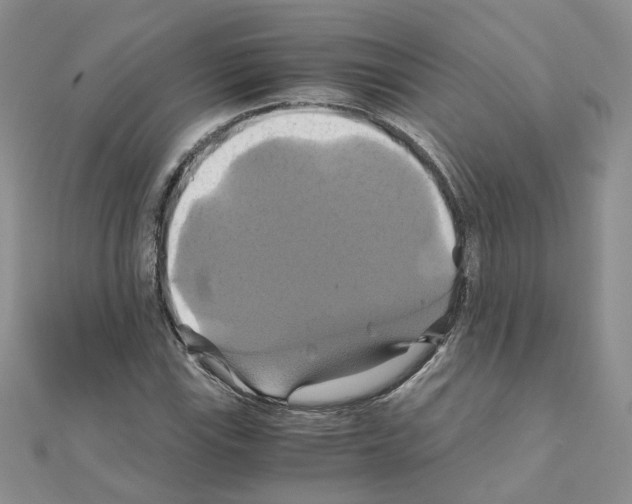 X0000110991115200907311004