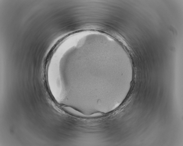 X0000110991116200907311004