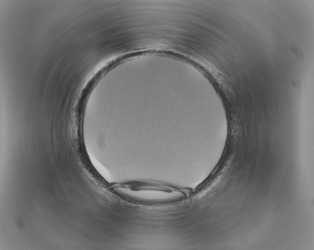 X0000110991118200907311004