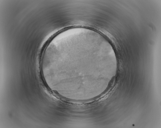 X0000110991120200907311004