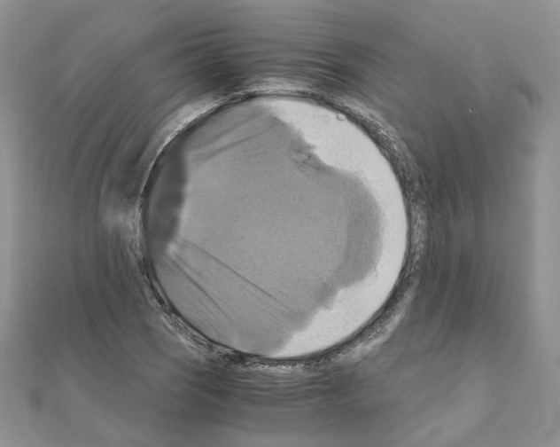 X0000110991121200907311004
